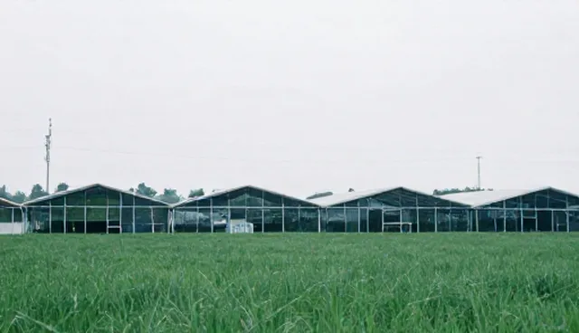 企业网站建设如何从规划到落地实现有效转化