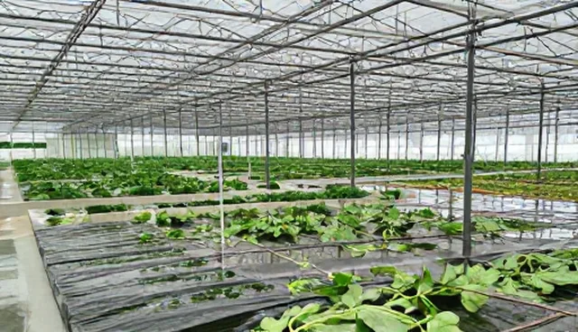 信息匹配中的常见误区与选型关注点解析
